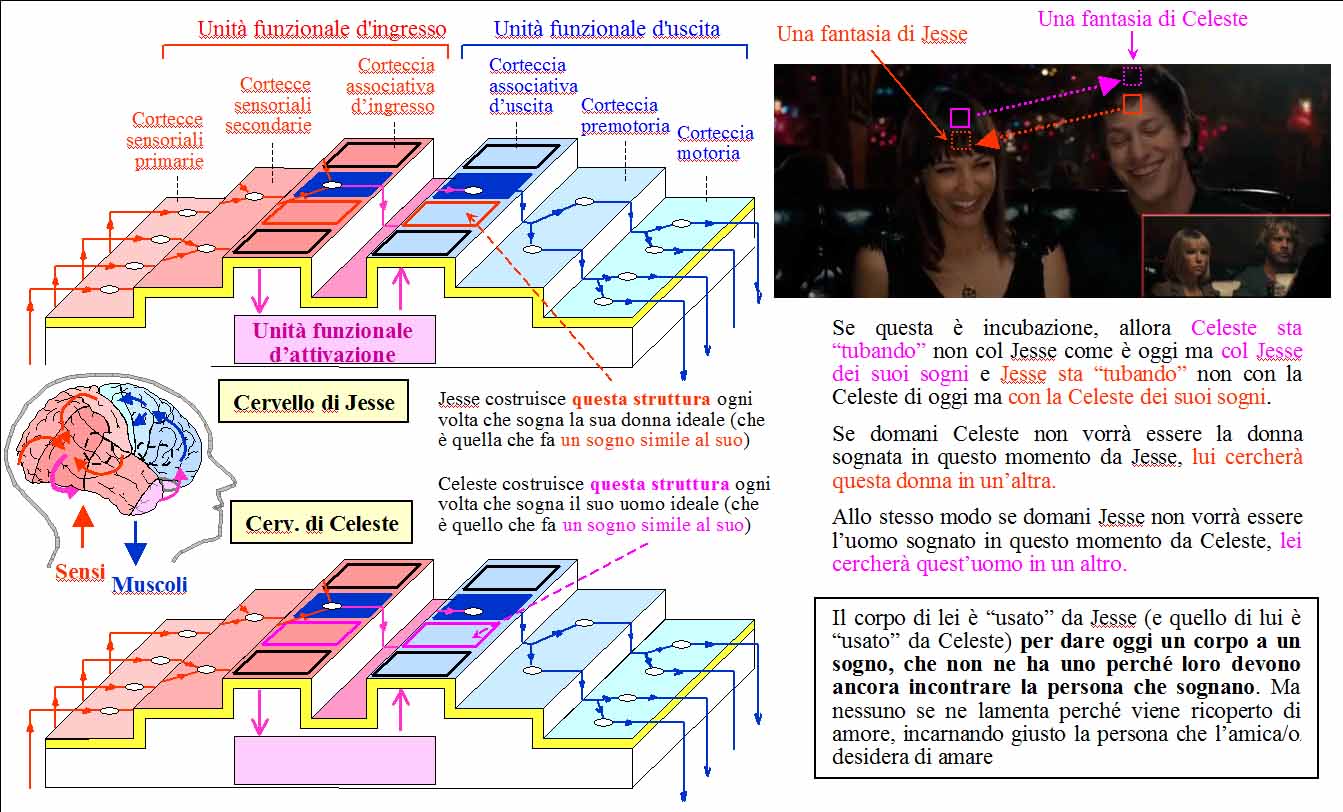 fig2si